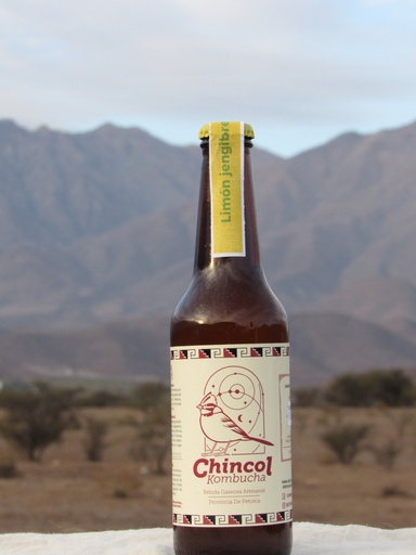 Kombucha de limón jengibre
